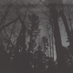 Ong’s Hat, Pine Barrens, New Jersey.